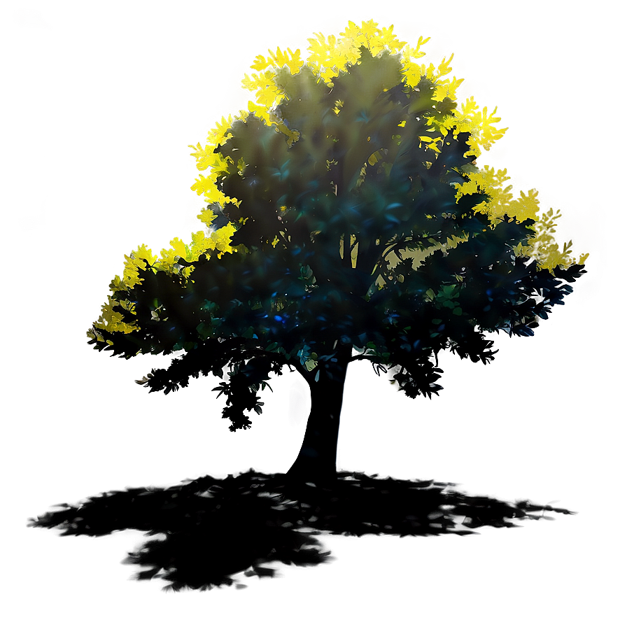 Illuminated Tree Shadow Png Gxf PNG Image