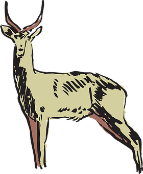 Illustrated Antelope Profile PNG Image