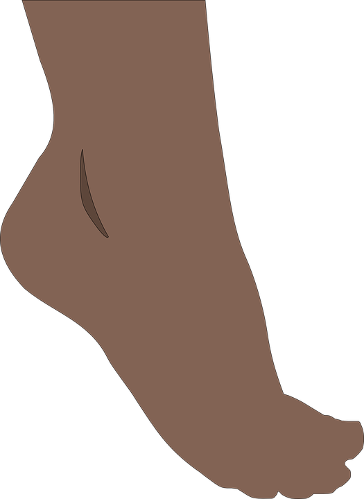 Illustrated Brown Foot Side View.png PNG Image