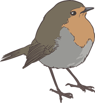 Illustrated Brownand Orange Bird PNG Image