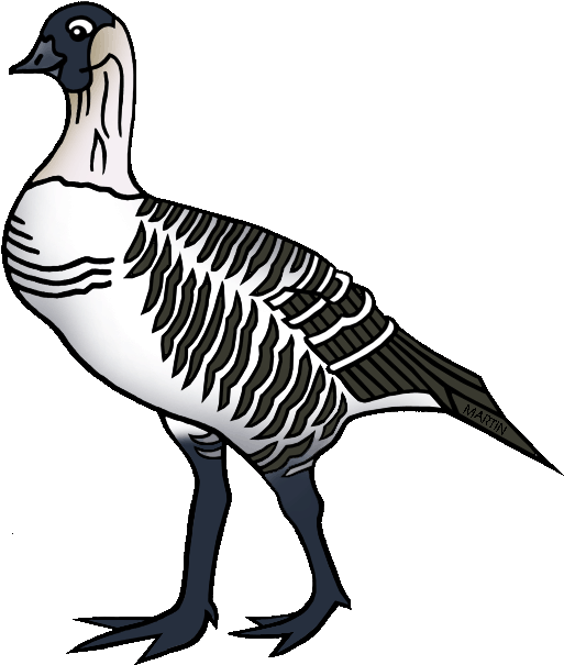 Illustrated Goose Graphic PNG Image