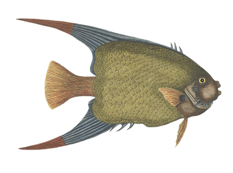 Illustrated Green Fish Black Background PNG Image