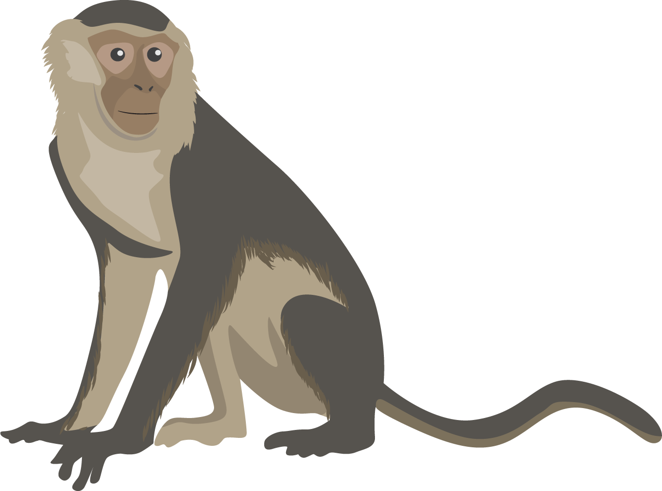 Illustrated Monkey Graphic PNG Image