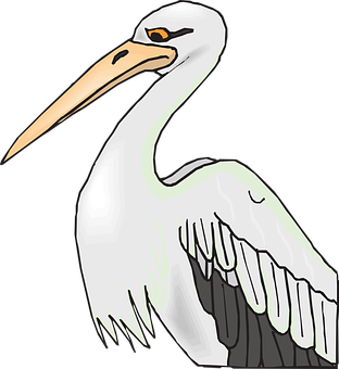 Illustrated Pelican Graphic PNG Image