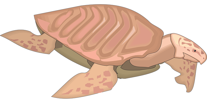 Illustrated Sea Turtle Graphic PNG Image