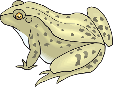 Illustrated Spotted Frog PNG Image