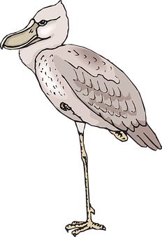 Illustrated Standing Bird PNG Image