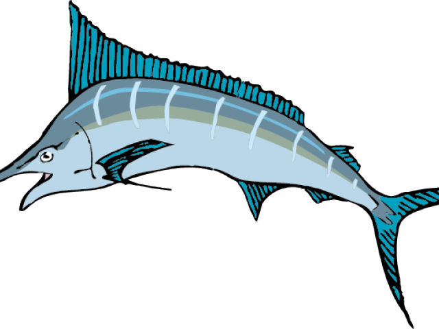 Illustrated Swordfish Graphic PNG Image