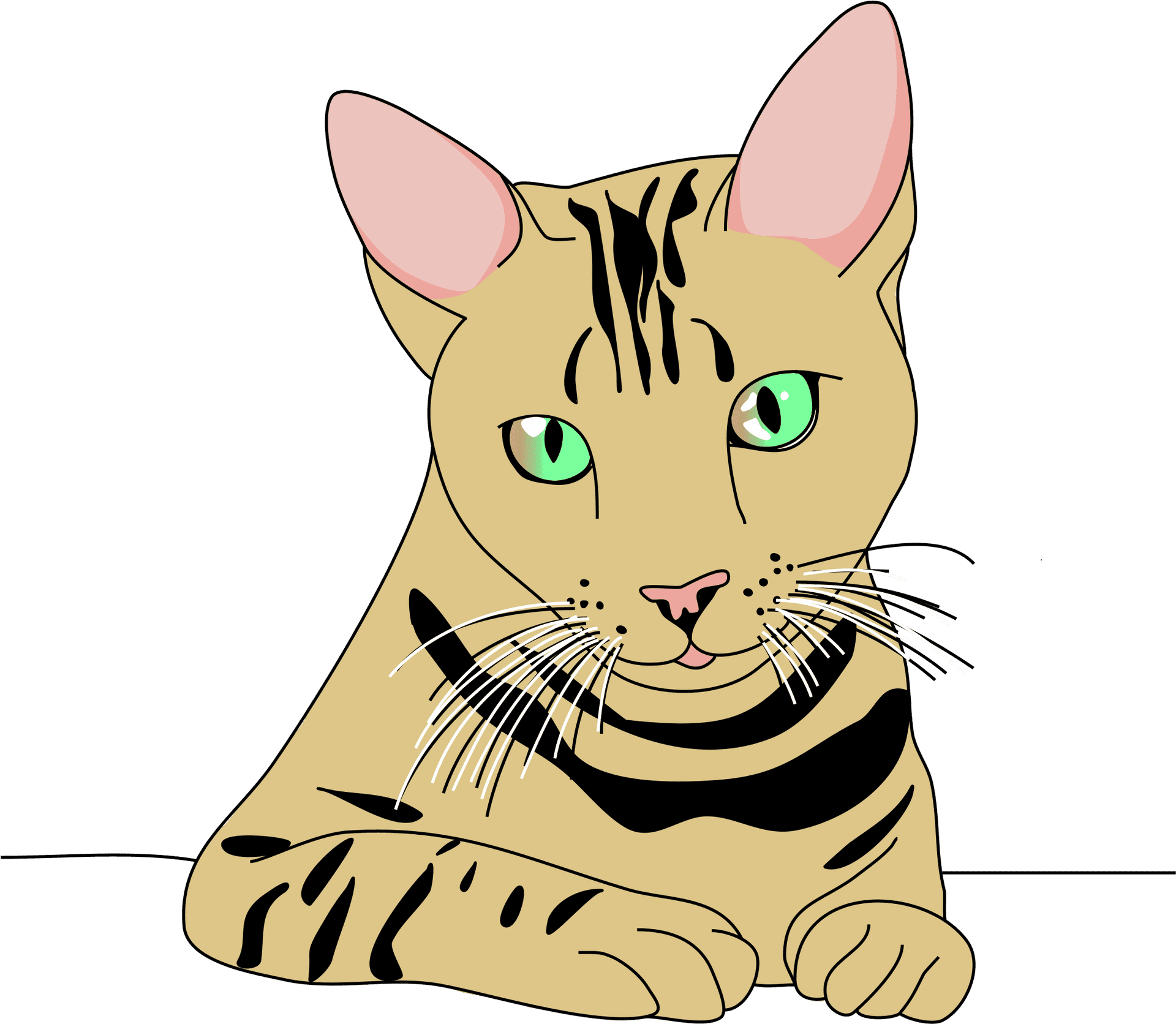 Illustrated Tabby Cat Graphic PNG Image