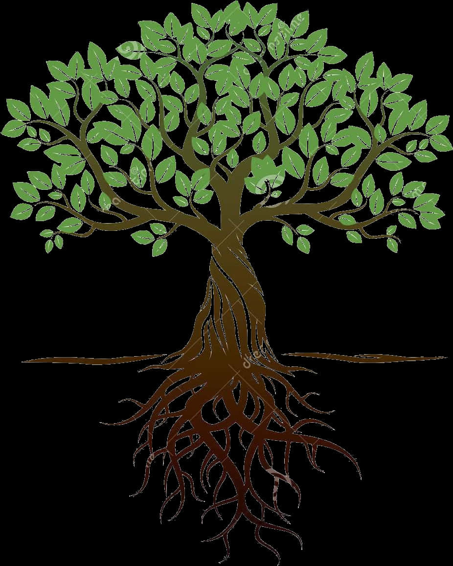 Illustrated Treewith Visible Roots PNG Image