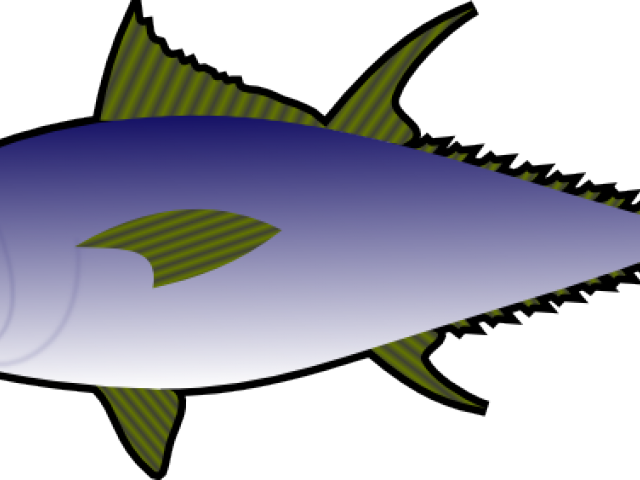 Illustrated Tuna Fish Graphic PNG Image