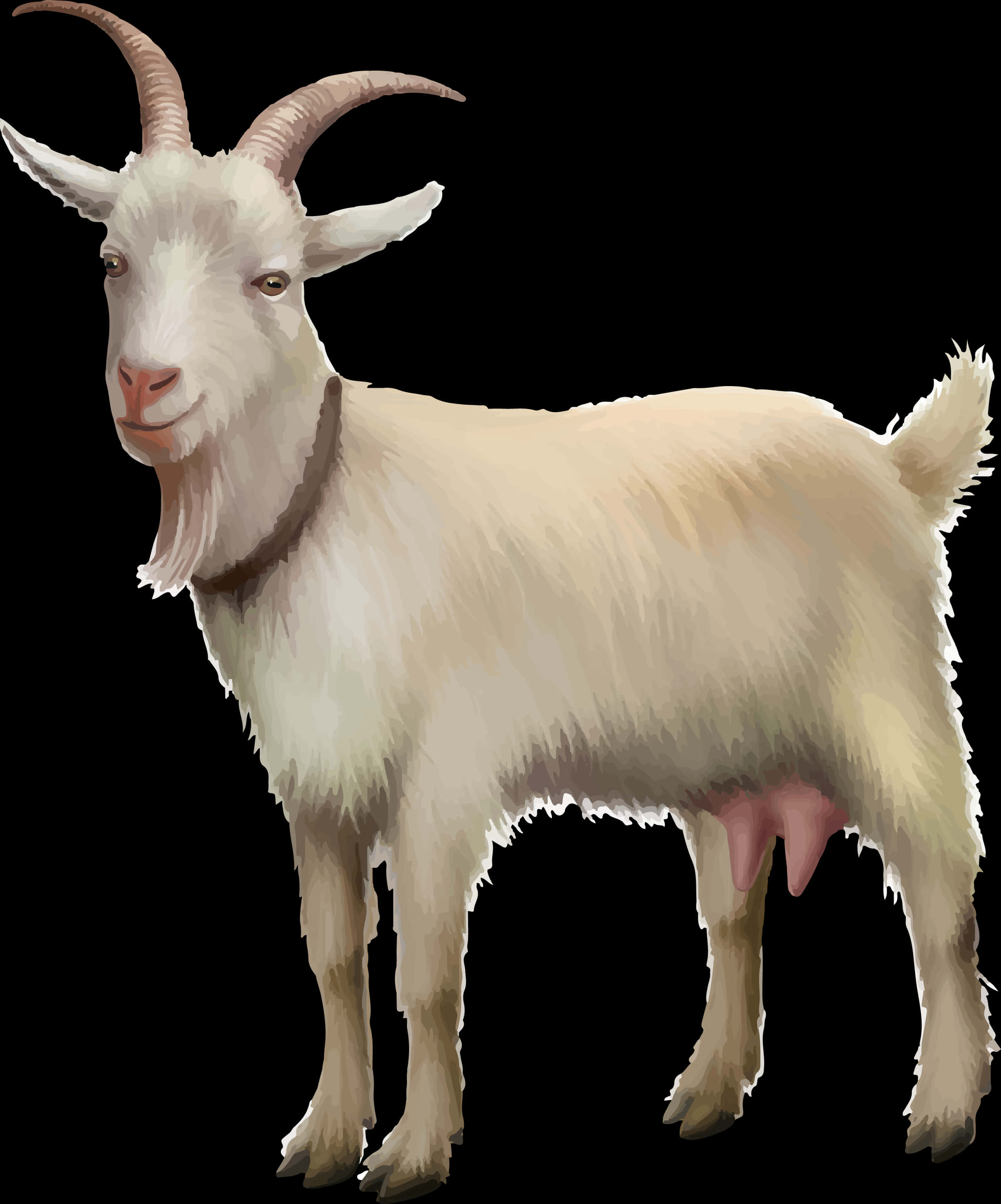 Illustrated White Goat Portrait PNG Image