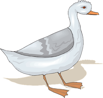 Illustrated White Goose Graphic PNG Image