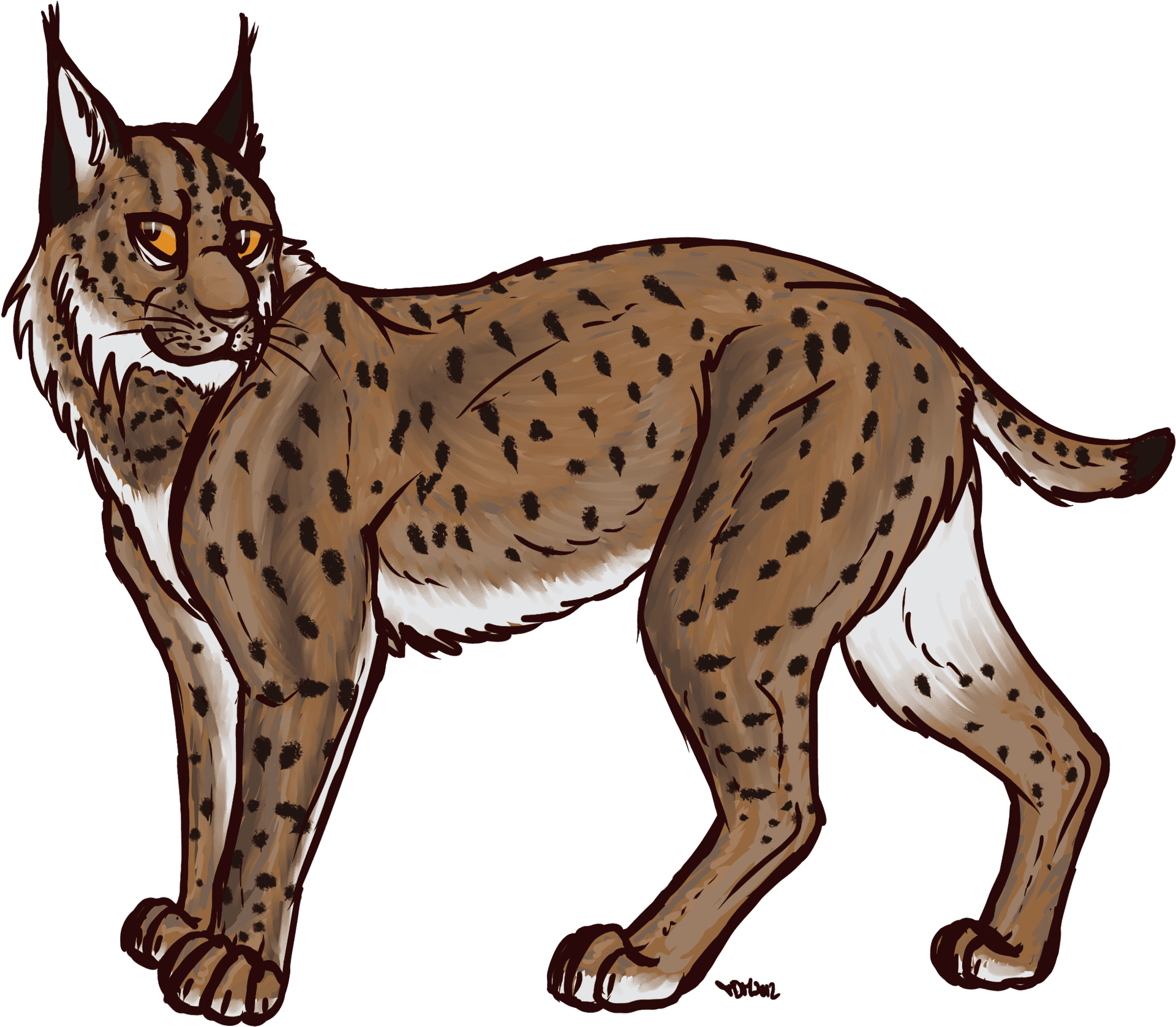 Illustrated Wild Lynx Walking PNG Image