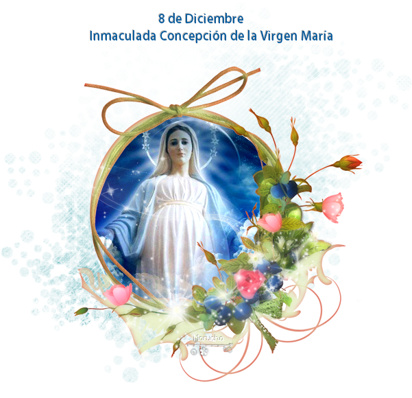 Immaculate_ Conception_of_ Virgin_ Mary_ Celebration PNG Image