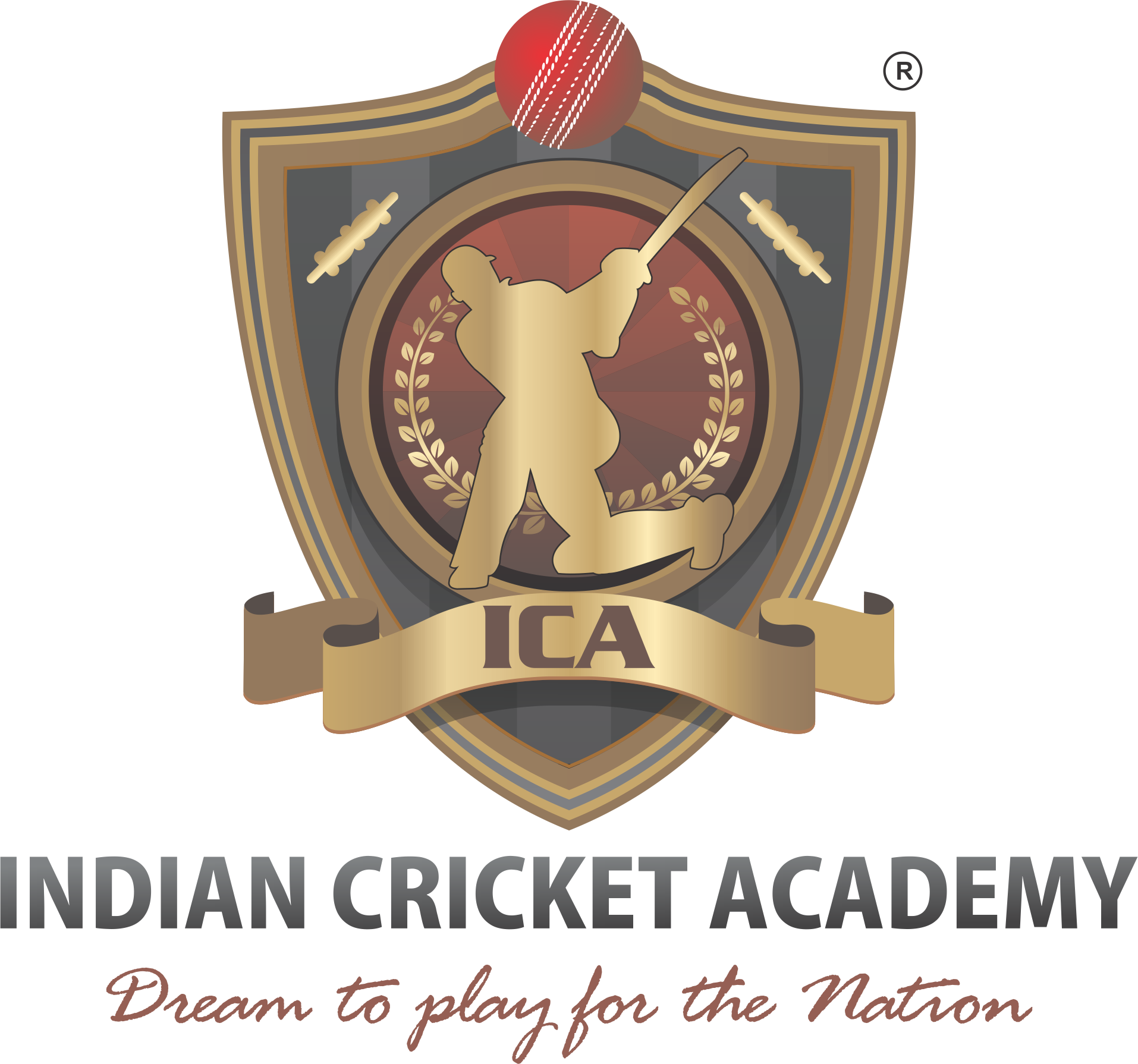 Indian Cricket Academy Emblem PNG Image