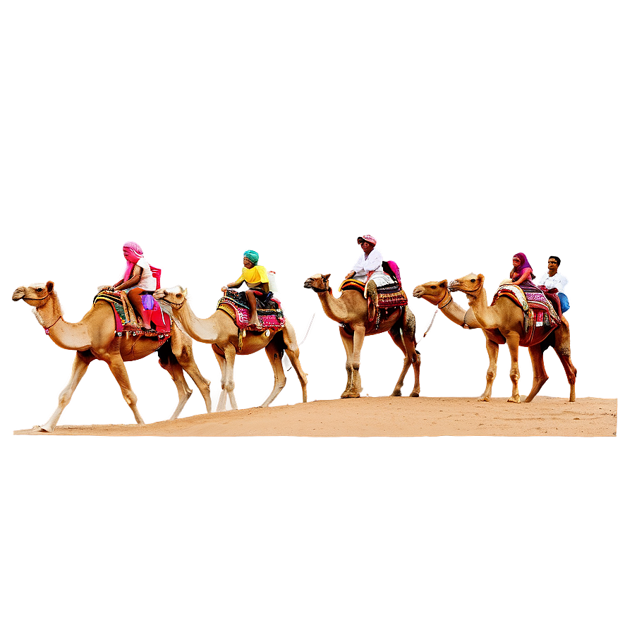 Indian Desert Camel Ride Png Ywk62 PNG Image