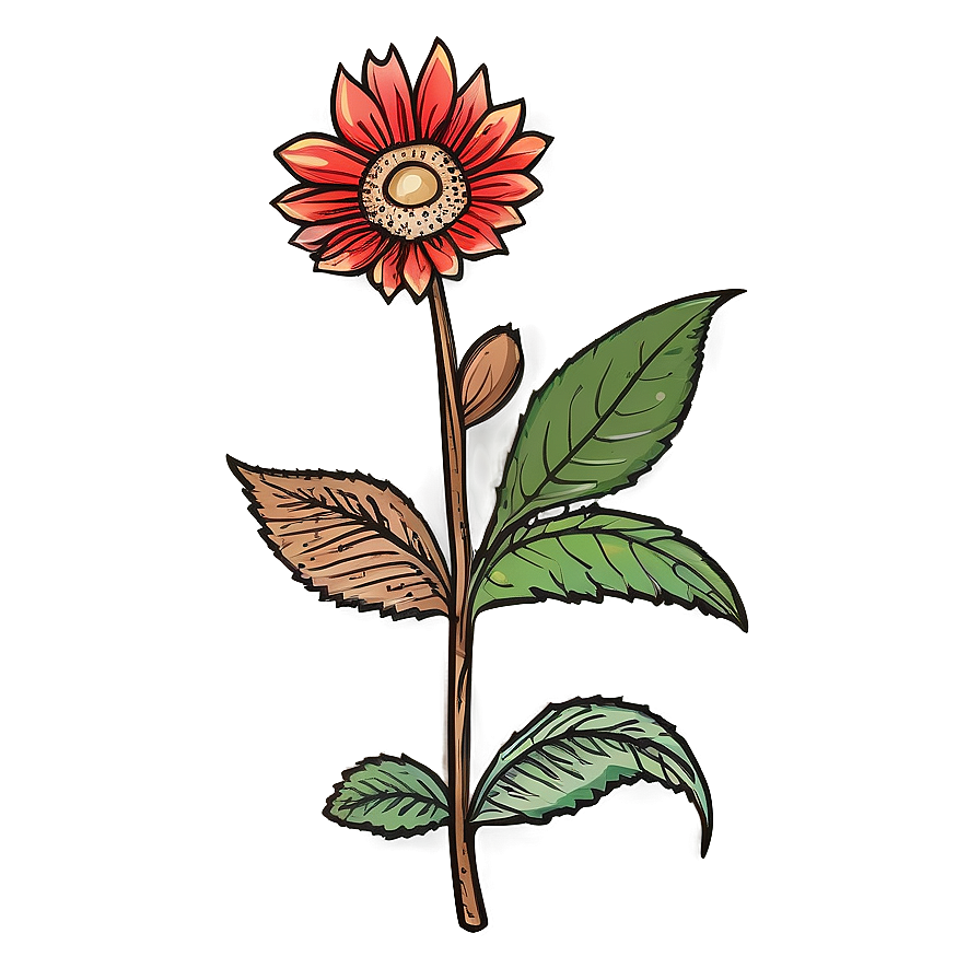 Indie Flower Line Art Png Ibo77 PNG Image