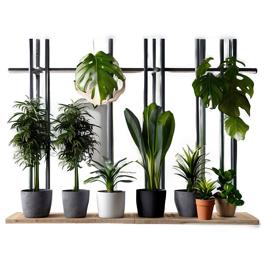 Indoor Plant Filled Studio Png 82 PNG Image