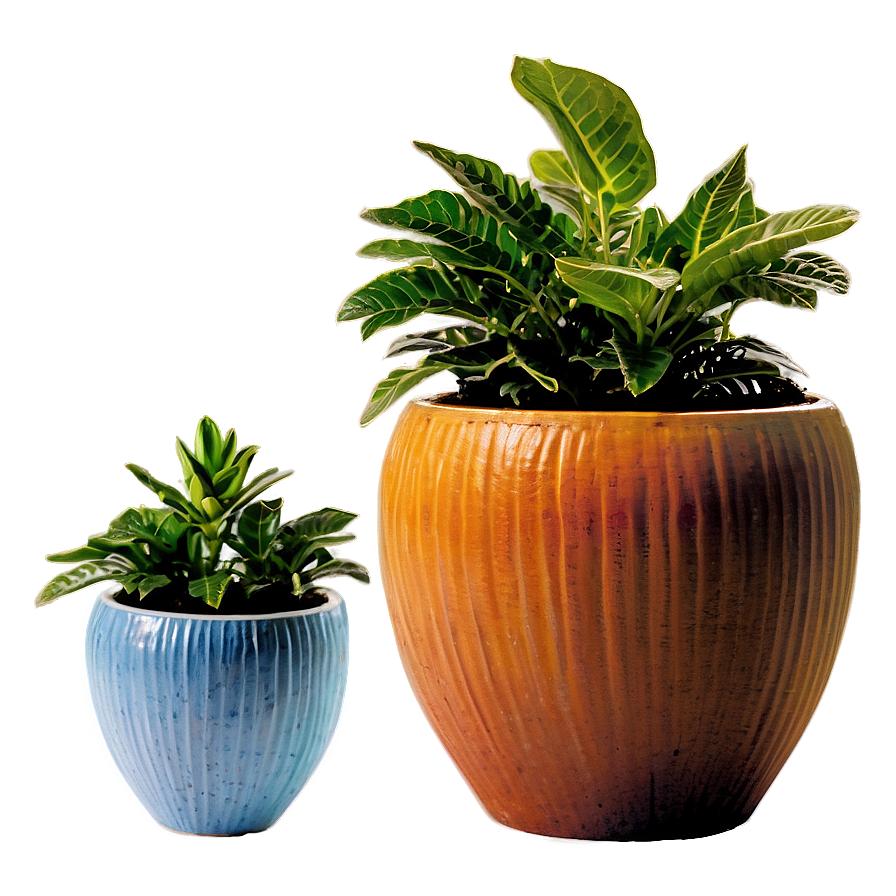 Indoor Pottery Planters Png Mhq PNG Image