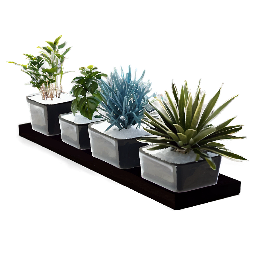 Indoor Winter Plants Png Jeo PNG Image