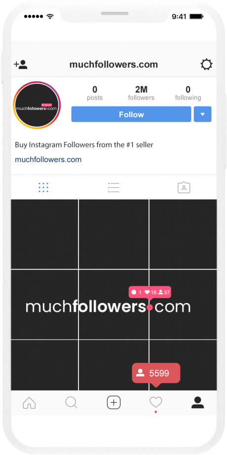 Instagram Followers Sales Pitch Screenshot PNG Image