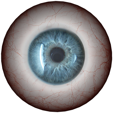 Intense_ Blue_ Eye_ Closeup PNG Image