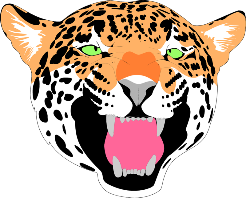 Intense Jaguar Face Illustration PNG Image