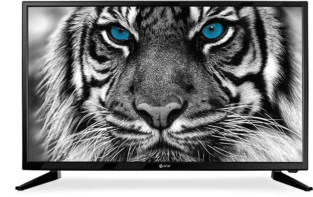 Intense Tiger Eyes Television Display PNG Image