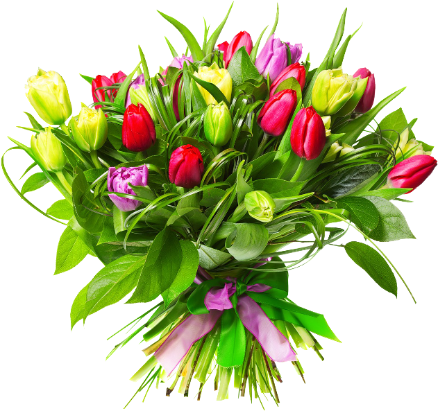 International Womens Day Tulip Bouquet PNG Image