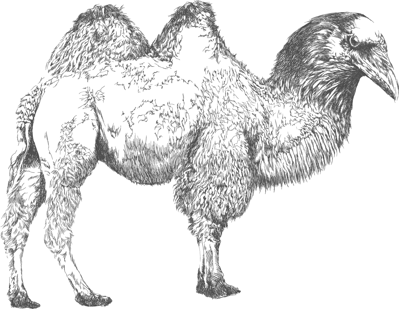 Intricate Camel Illustration PNG Image