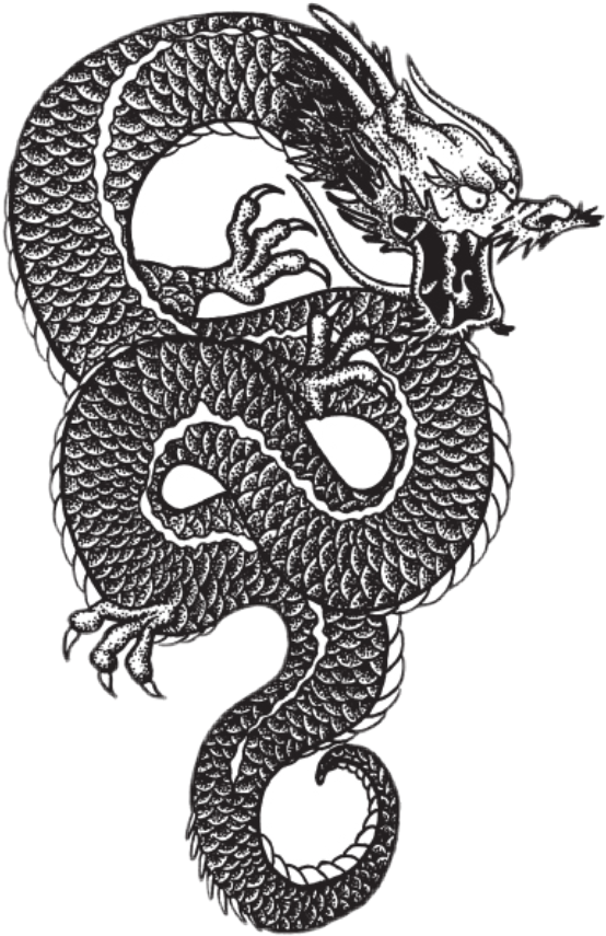 Intricate Dragon Tattoo Design PNG Image