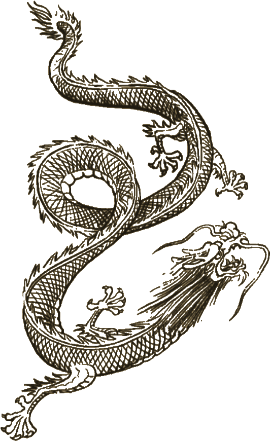 Intricate Dragon Tattoo Design PNG Image