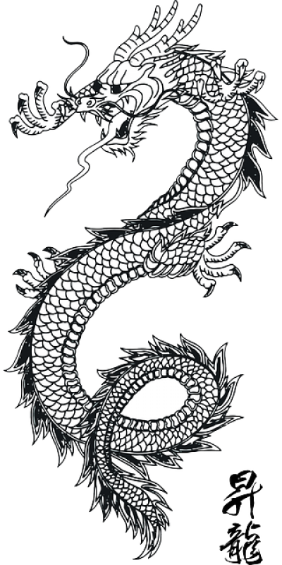 Intricate Dragon Tattoo Design PNG Image