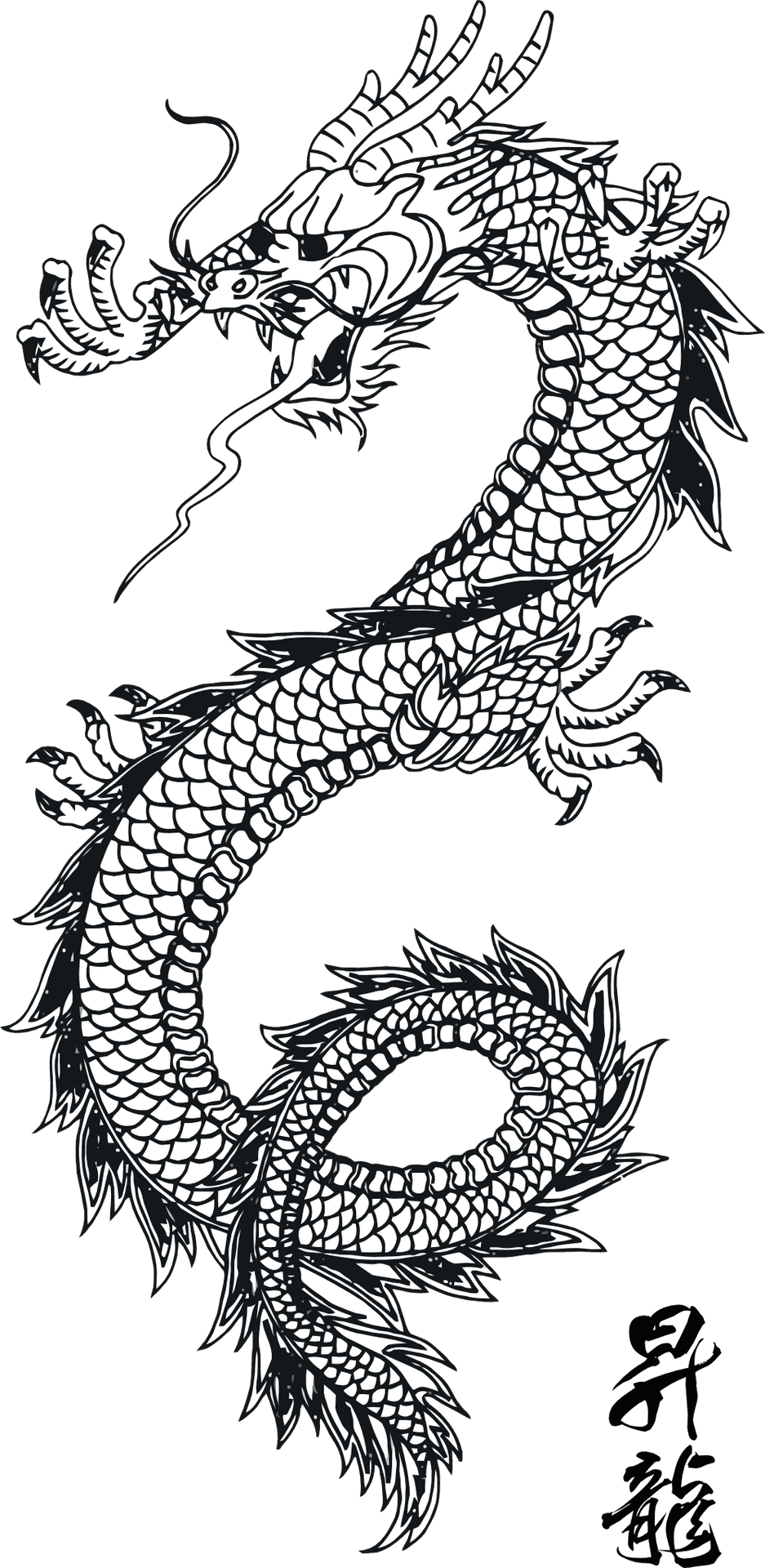 Intricate Dragon Tattoo Design PNG Image