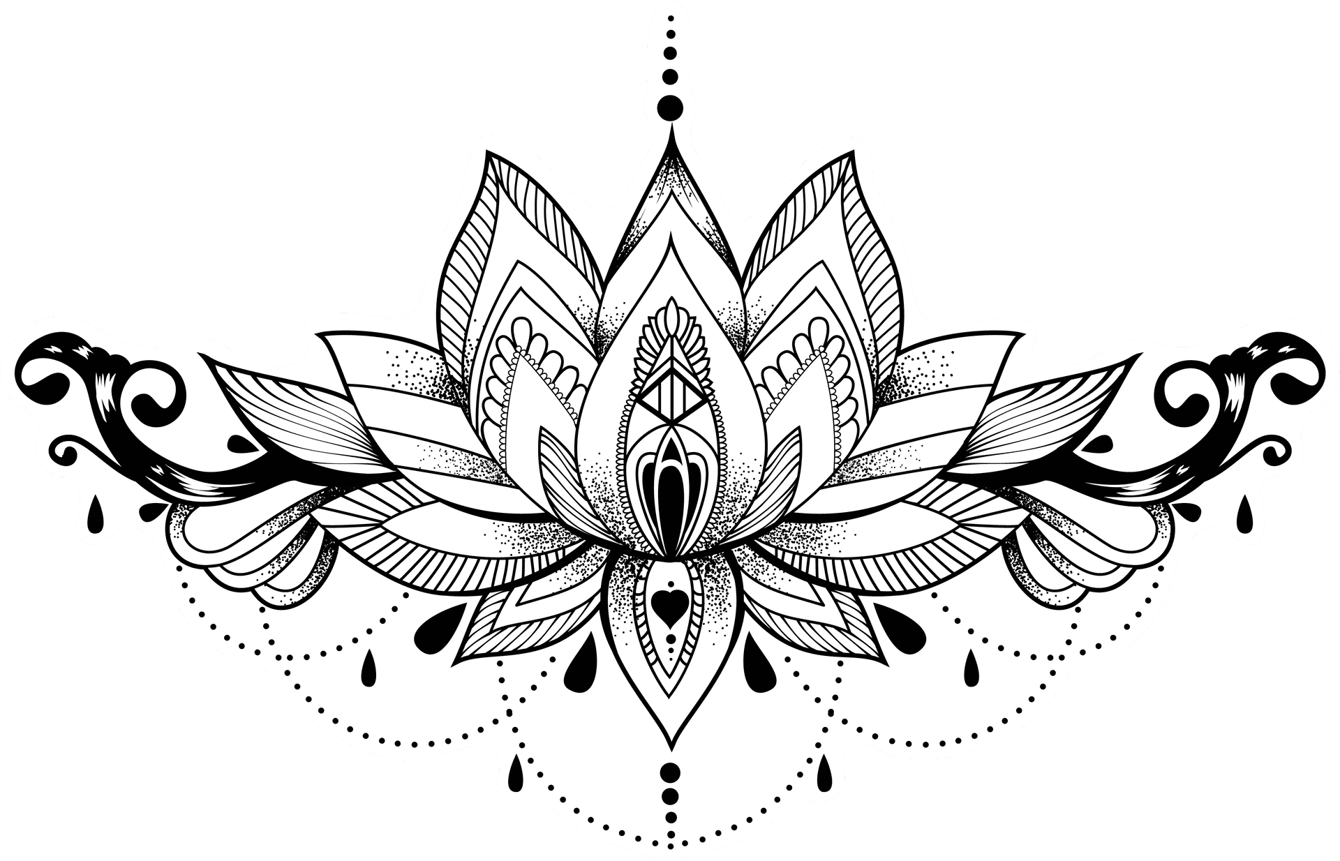 Intricate Lotus Flower Outline PNG Image