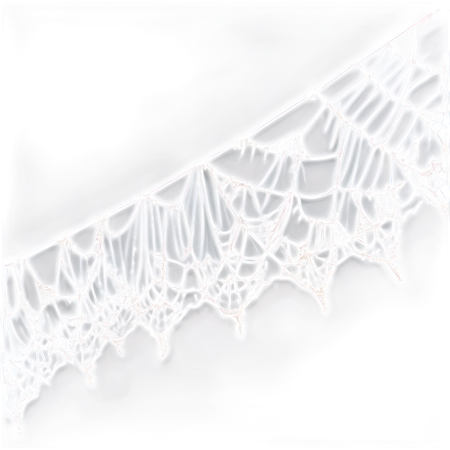 Intricate Spider Web Art PNG Image