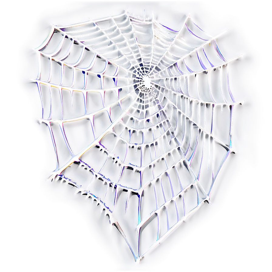 Intricate Spider Web Artwork PNG Image