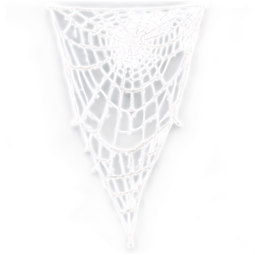 Intricate Spider Web Design PNG Image