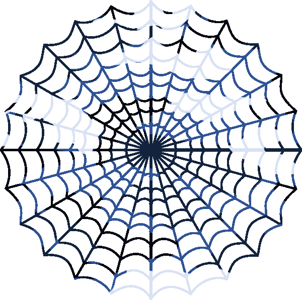 Intricate Spider Web Design PNG Image