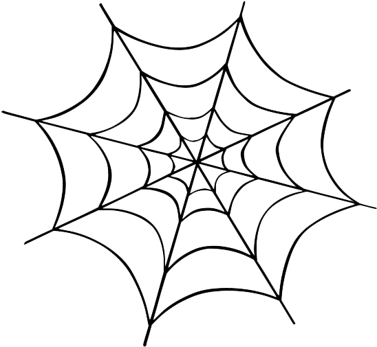 Intricate Spider Web Drawing PNG Image