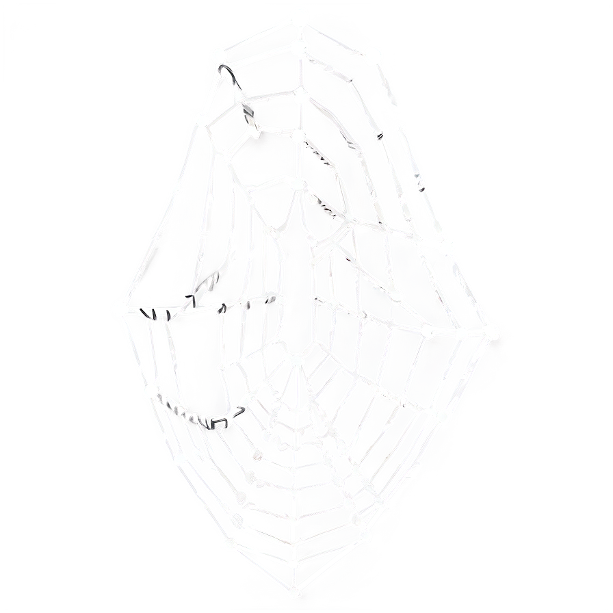 Intricate Spider Web Sketch PNG Image