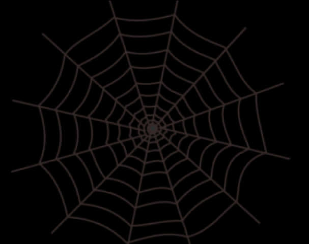 Intricate Spider Webon Dark Background PNG Image