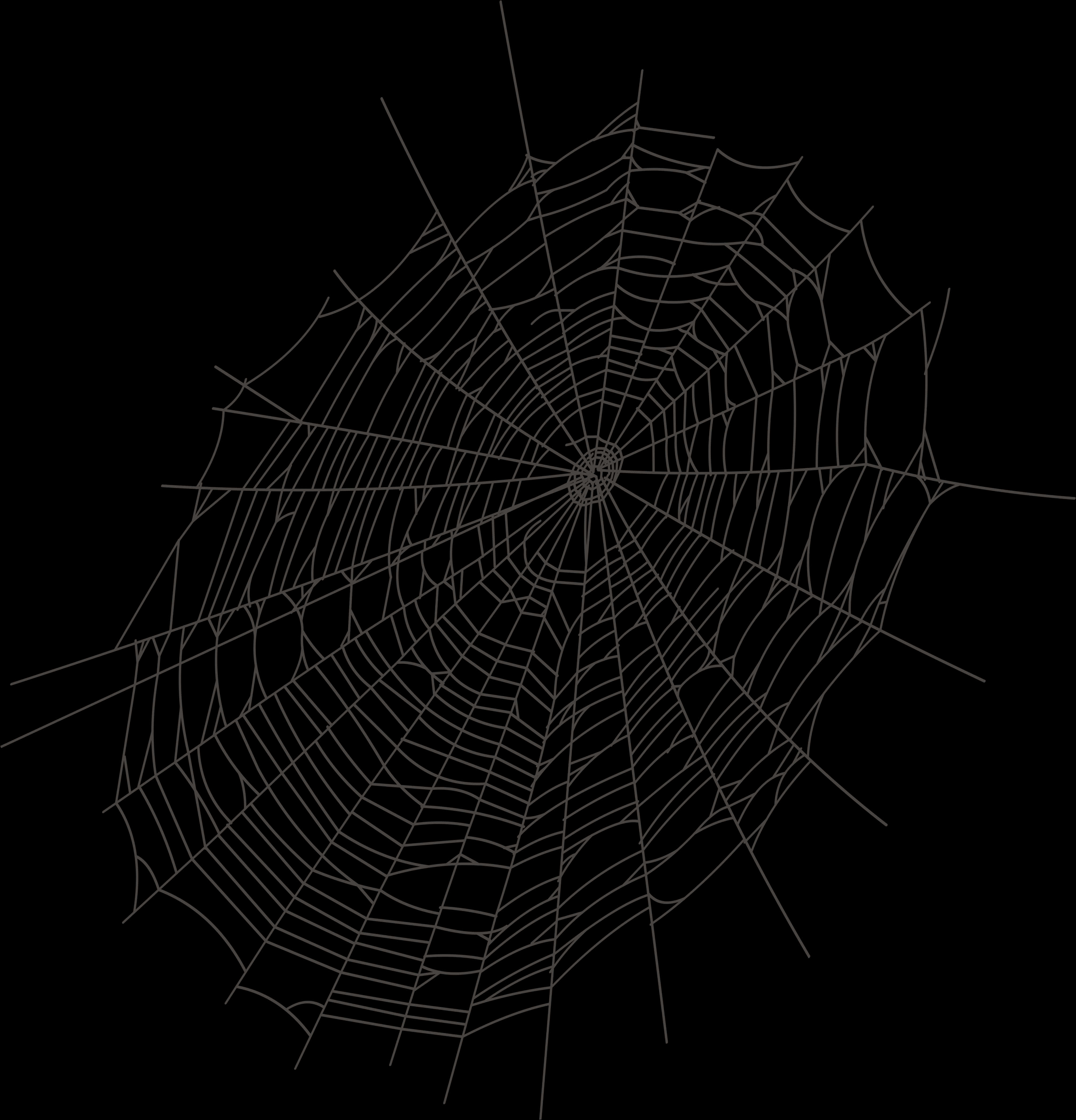 Intricate Spider Webon Dark Background PNG Image