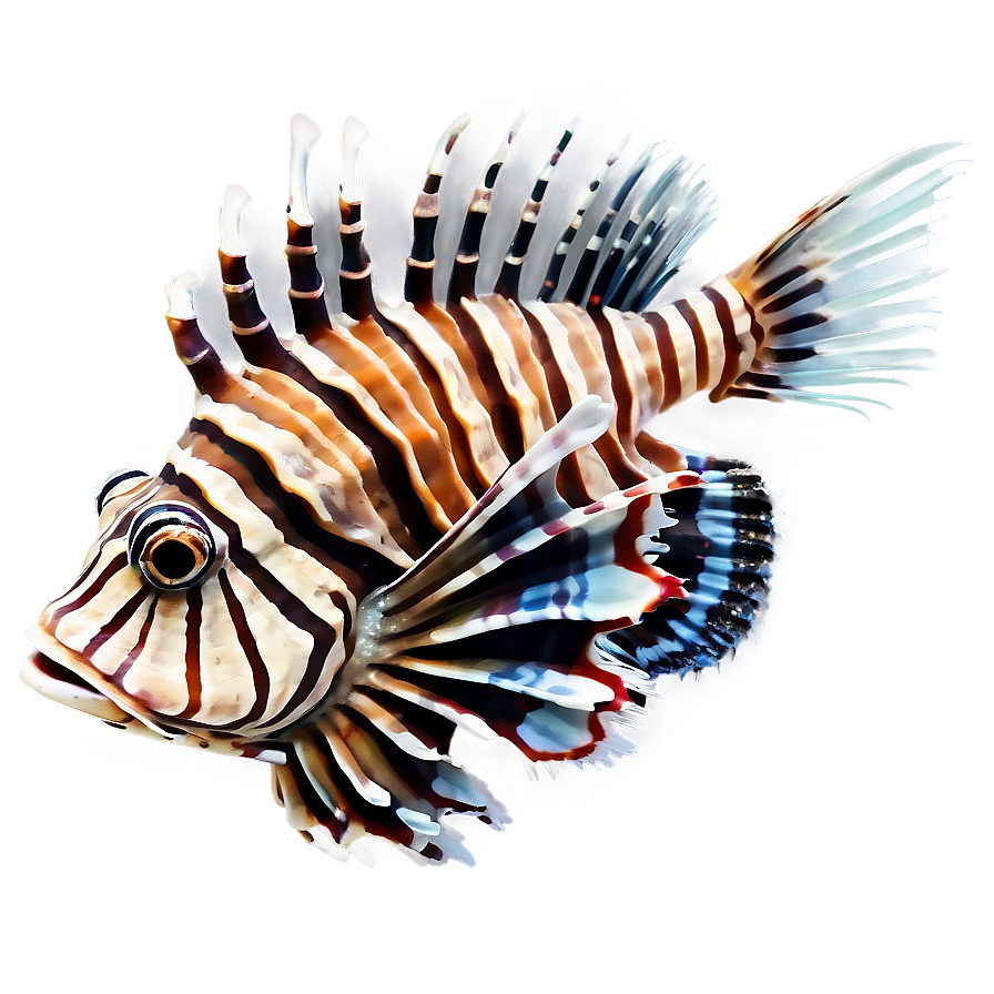 Intriguing Lionfish Png 06292024 PNG Image