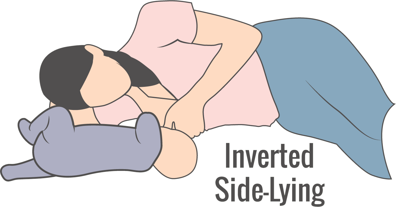 Inverted Side Lying Breastfeeding Position PNG Image