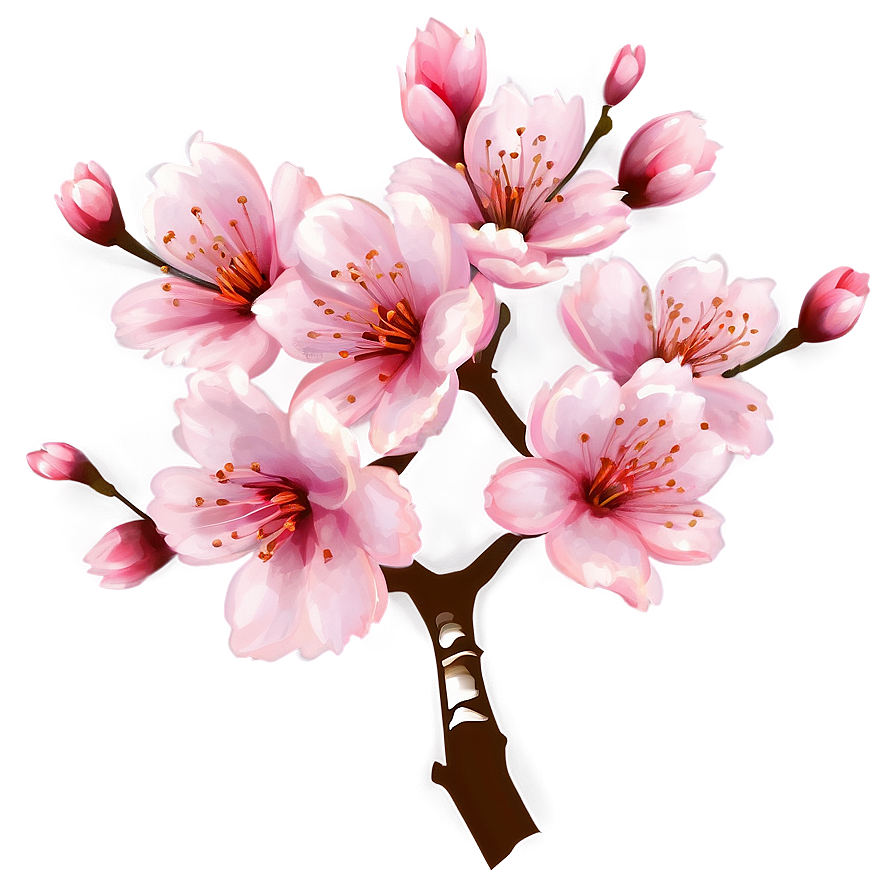 Inviting Cherry Blossom Png Ebu36 PNG Image