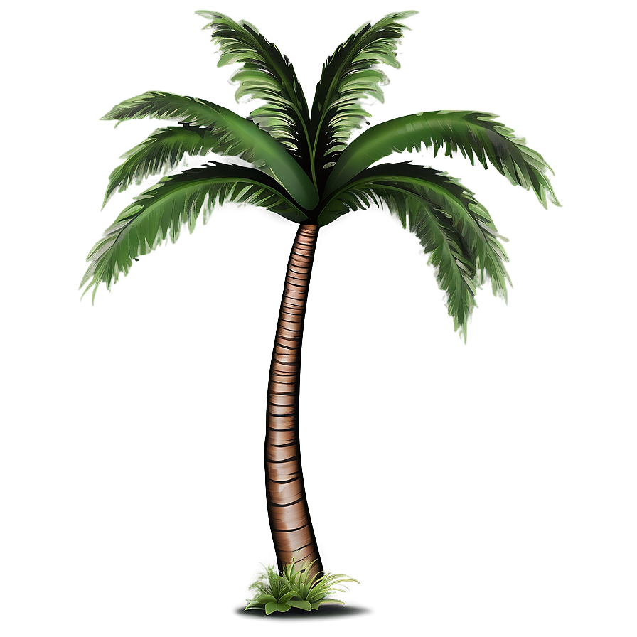 Island Palm Trees Png 05042024 PNG Image