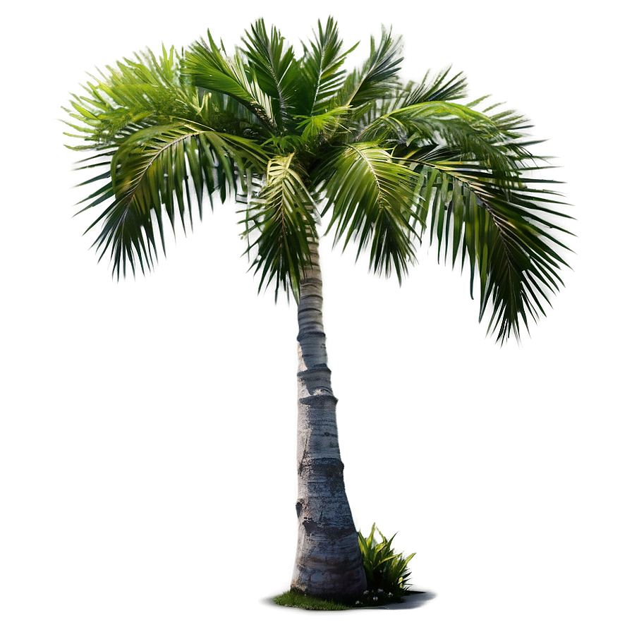 Island Palm Trees Png Kch31 PNG Image