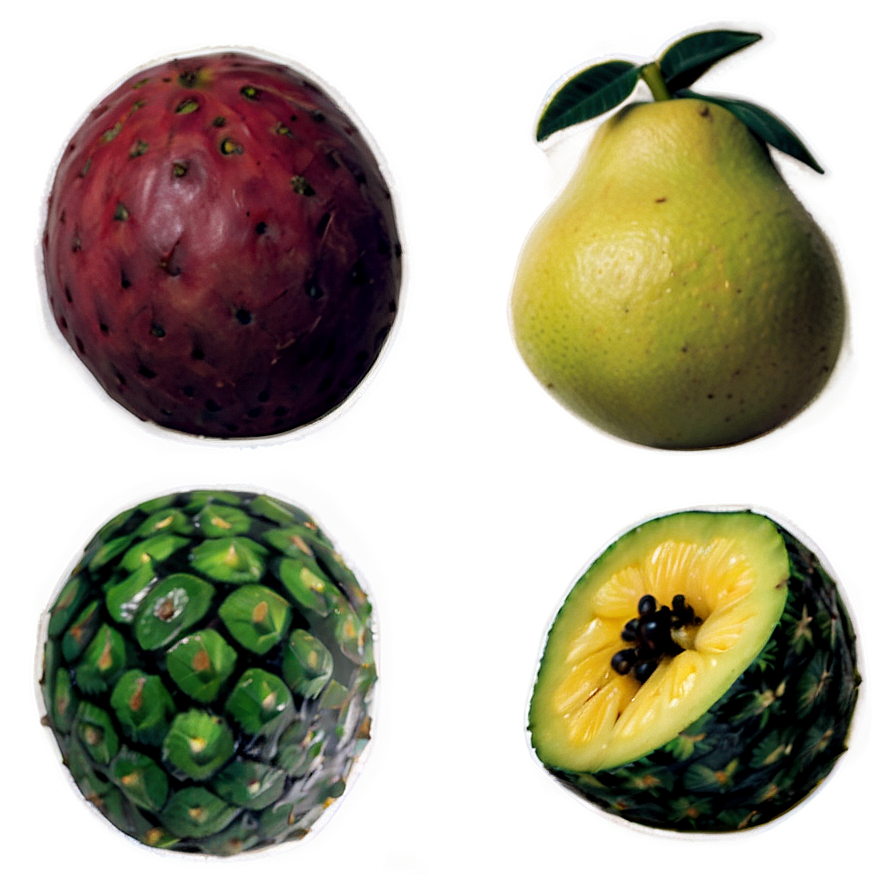 Island Tropical Fruit Harvest Png Twl PNG Image